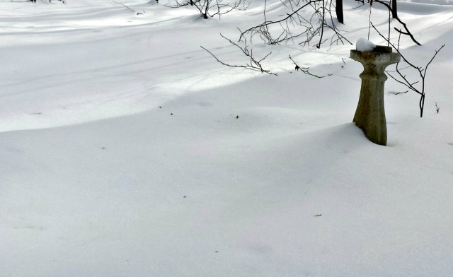 There's actually garden statuary under there somewhere...